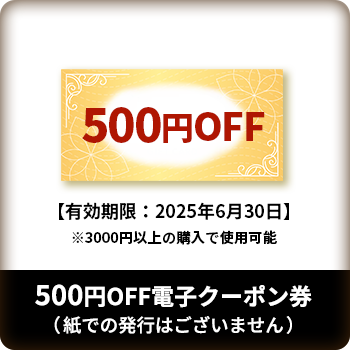 電子クーポン500円分