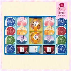 【5/11～14着／母の日カード付】【送料無料】涼水彩(RS-30)