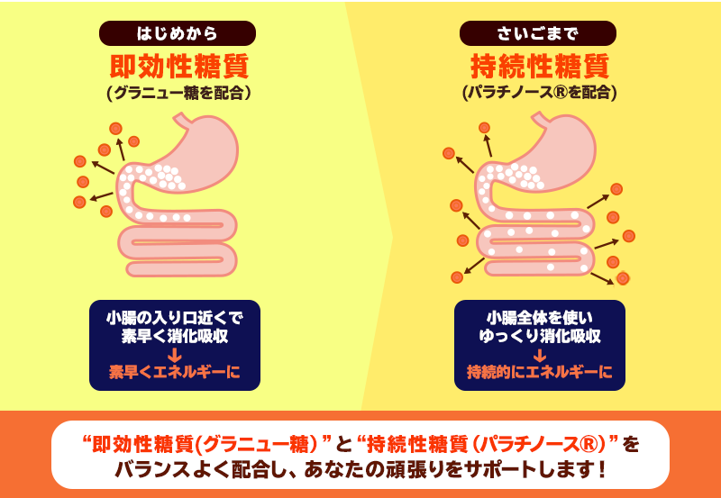 即効性糖質（グラニュー糖）と持続性糖質（パラチノース(R)）をバランスよく配合し、あなたの頑張りをサポートします！